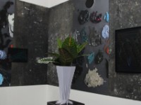 Anthophobia Artothek munich 2016