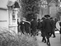 Die Eskimotragödie (memento mori)  München 2015 Fotos © Maximilian Rossner