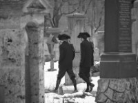 Die Eskimotragödie (memento mori)  München 2015 Fotos © Maximilian Rossner